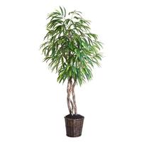 Vickerman 72" Artificial Potted Heartand Mango Tree