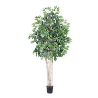 Vickerman 72" Potted Artificial Heartand Paper Birch Tree