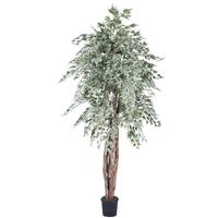 Vickerman 72" Artificial Silver Maple Executive in Black Pot
