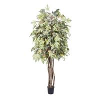 Vickerman 72" Potted Artificial Frosted Executive Maple Tree