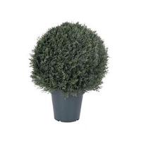 Vickerman 20" Artificial Pond Cypress in Black Pot