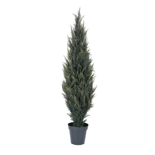 60" Artificial Pond Cypress in Black Pot