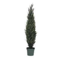 Vickerman 72" Artificial Pond Cypress Topiary in Black Pot