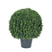 Vickerman 20" Artificial Boxwood in Black Pot