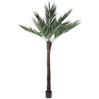Vickerman 12' Artificial Kentia Palm Tree