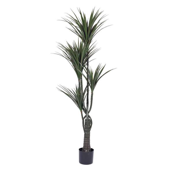 60" Artificial Giant Yucca Tree in Black Pot