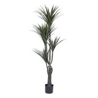 Vickerman 60" Artificial Giant Yucca Tree in Black Pot