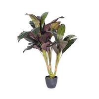 Vickerman 30" Artificial Real Touch Dracaena in Black Pot