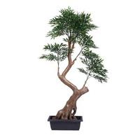 Vickerman 66" Artificial Ruscus Tree in Black Pot
