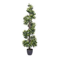 Vickerman 60" Artificial Spiral Bay Tree in Black Pot