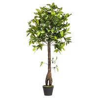 Vickerman 50" Artificial Camellia Tree in Black Pot