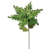 Vickerman 15" Artificial Lime Velvet Poinsettia Flower Pick (3 pack)