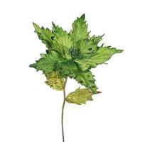 Vickerman 26" Artificial Lime Velvet Poinsettia Flower (3 pack)