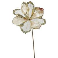 Vickerman 20" Artificial Champagne Velvet Amaryllis Flower (3 pack)