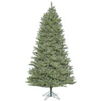 Vickerman 10' x 68" Artificial Slim Colorado Spruce 1450 Warm White Italian LED Lights with Step On / Off Switch