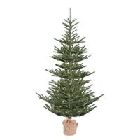 Vickerman 5" x 40" Artificial Alberta Spruce Tree with 200 Clear Lights