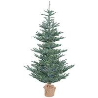 Vickerman 4' x 32" Artificial Alberta Blue Spruce Tree with 150 Multi Color LED Lights