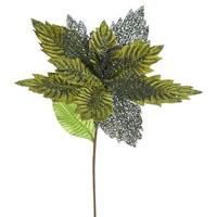 Vickerman 22" Artificial Olive Poinsettia with 15" Flower Head