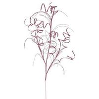 Vickerman 35" Mauve Glitter Curly Spray