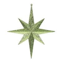 Vickerman 12" Lime Glitter Bethlehem Star Ornament (2 pack)