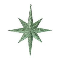 Vickerman 12" Celadon Glitter Bethlehem Star Ornament (2 pack)