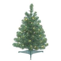 Vickerman 2.2' x 19" Artificial Oregon Fir Tree with 50 Warm White LED Lights