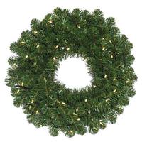 Vickerman 20" Artificial Oregon Fir Wreath 35 Warm White LED Lights