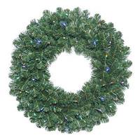 Vickerman 20" Artificial Oregon Fir Wreath 35 Multi Color LED Lights