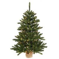Vickerman 2' Artificial Anoka Tree w/Burlap Base 35 Warm White LED Lights