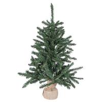 Vickerman 2.5' Artificial Anoka Pine Tree w/Burlap Base