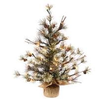 Vickerman 3' Artificial Dakota Pine Tree w/Burlap Base 70 Clear Lights