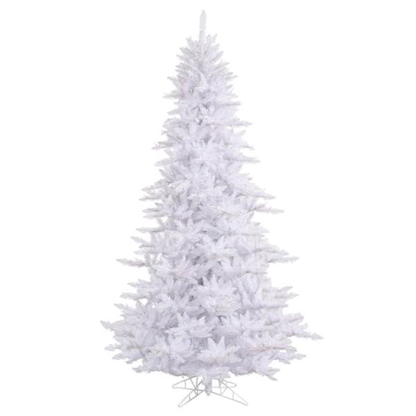 3' x 25" White Fir Tree