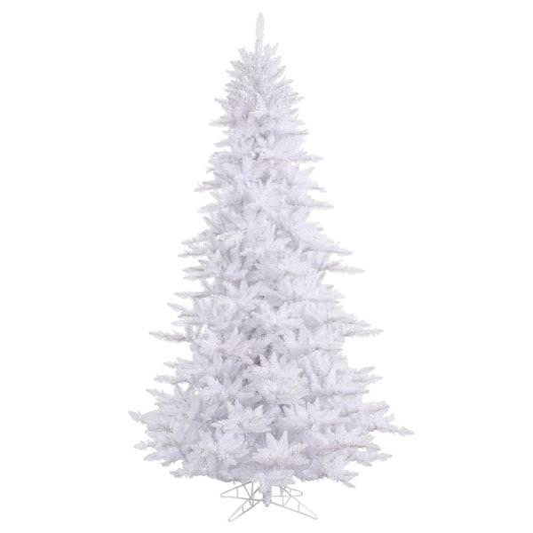 12' x 74" White Fir Tree