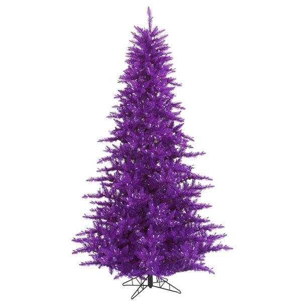 5.5' x 42" Purple Fir Tree