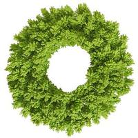 View 24" Artificial Flocked Lime Fir Wreath