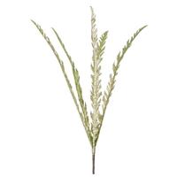 Vickerman 22" Lime Glitter Soap Plant Spray (6 pack)