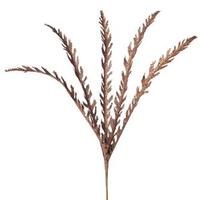 Vickerman 22" Copper Glitter Soap Plant Spray (6 pack)