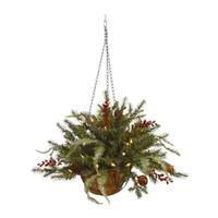 Vickerman 18" x 24" Artificial Mixed Pine Hanging Basket 35 Warm White Lights with Timer