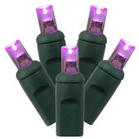 Vickerman 70 Light 35' Green Wire Purple Wide Angle LED Lights with 6" Spacing