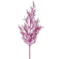 Vickerman 28" Magenta Glitter Wild Huck Spray (6 pack)