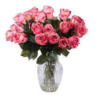 Vickerman 16" Artificial Beauty Rose Blossoms in Glass Vase with Acrylic Water