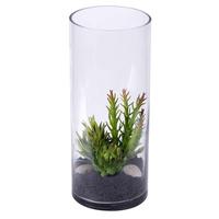 Vickerman 12" Artificial Succulent Arrangement in Modern Glass Cyclinder Vase