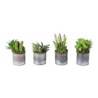 Vickerman 8" 4 Artificial Assorted Succulent Arrangement in Weathered Tin Vase (Set of 4)