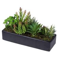 Vickerman 12" Artificial Succulent Arrangement in Black Tray