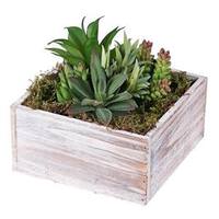 Vickerman 7" Artificial Succulent Arrangement in Wood Planter