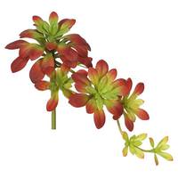 Vickerman 7" Artificial Burgundy/Green Atropurpureum Pick (3 pack)