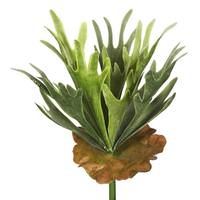 Vickerman 13" Artificial Staghorn Fern Pick