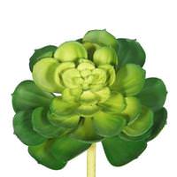 Vickerman 5" Artificial Cactus Plant Stem Pick (6 pack)