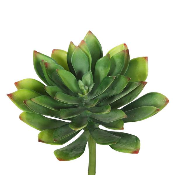 10" Artificial Cactus Stem Pick (3 pack)
