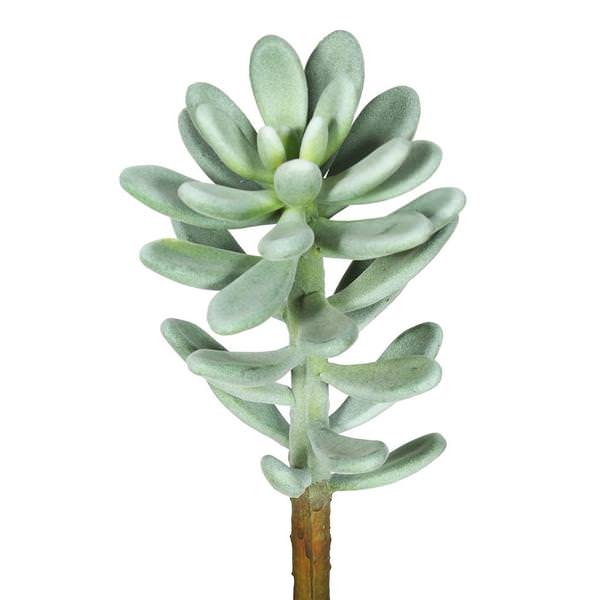 12" Artificial Frosted Green Succulent Pick (3 pack)